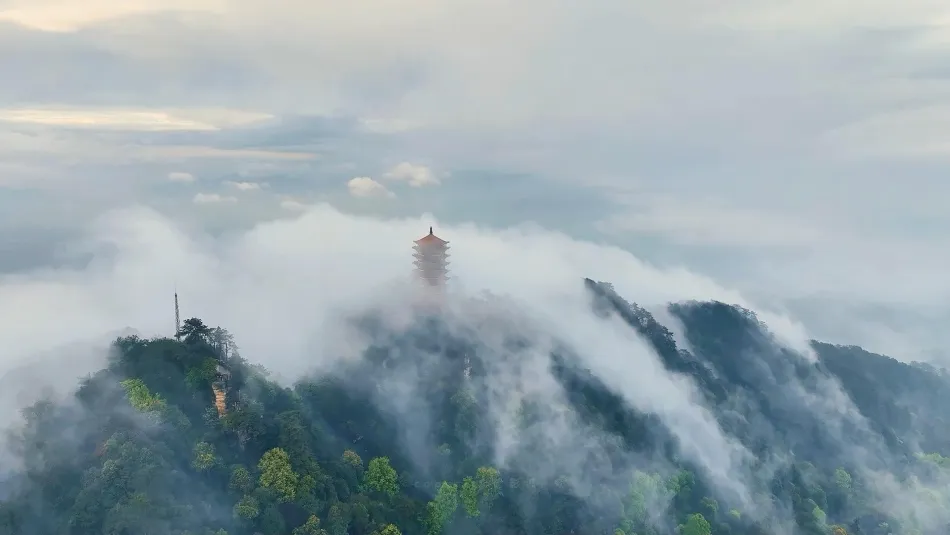 北碚区北碚区移动宽带