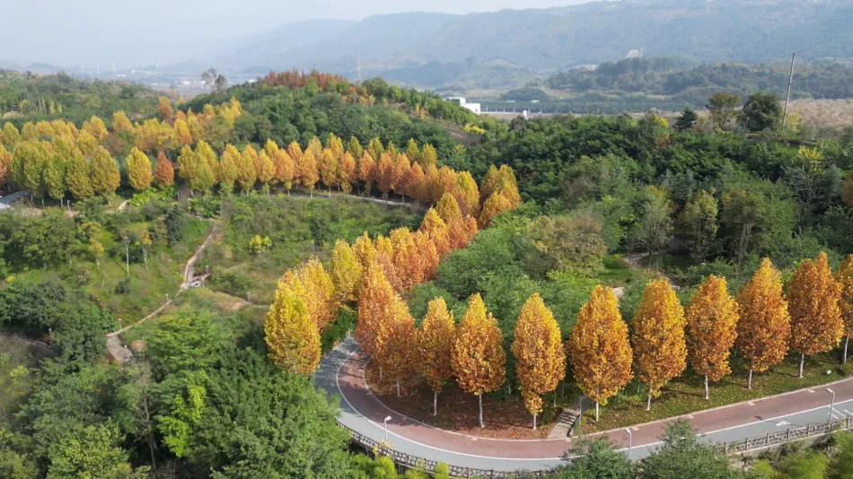 北碚区北碚区移动宽带